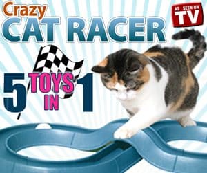 Crazy Cat Racer