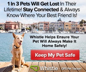 Whistle GPS Pet Tracker