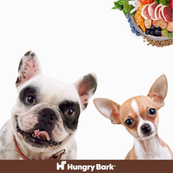 20% Off Hungry Bark Products