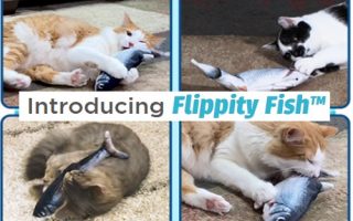 flippity fish cat toy
