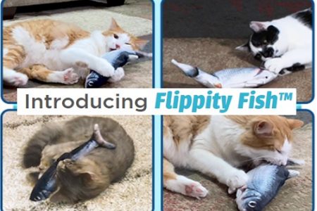 flippity fish cat toy